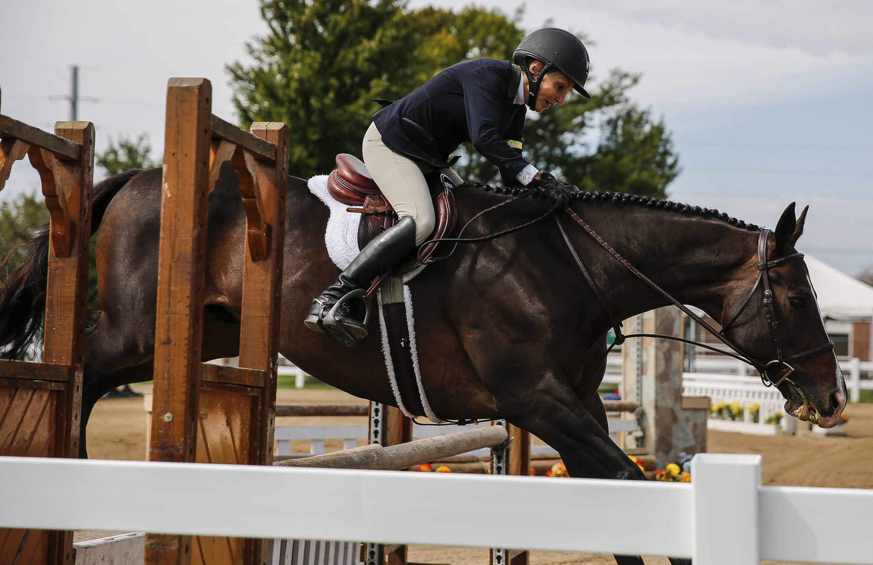 Midstates Horse Show 1